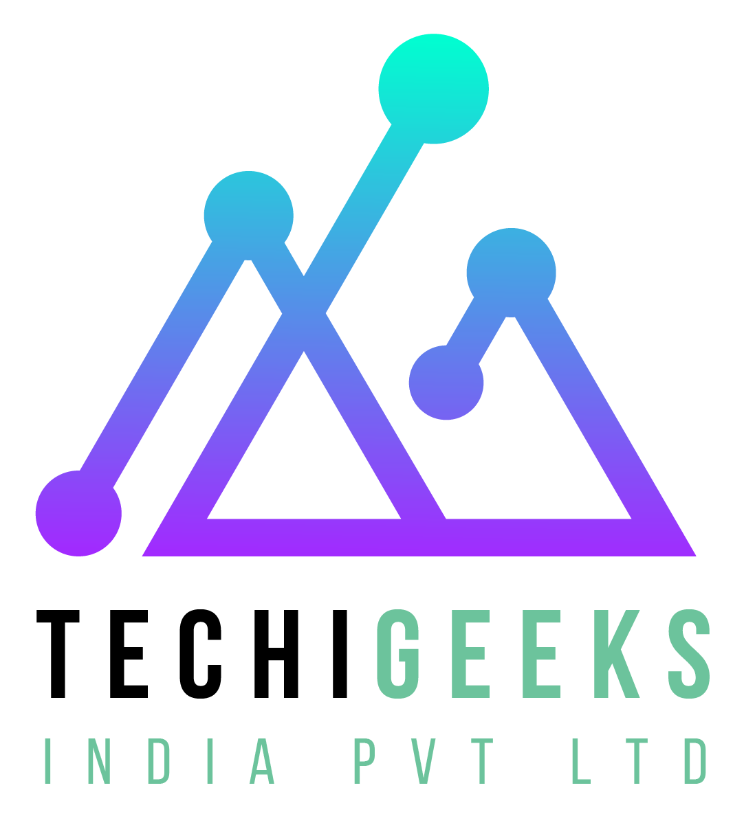 TechiGeeks logo